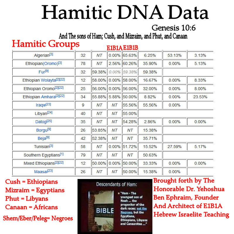 Hamitic+DNA+Data